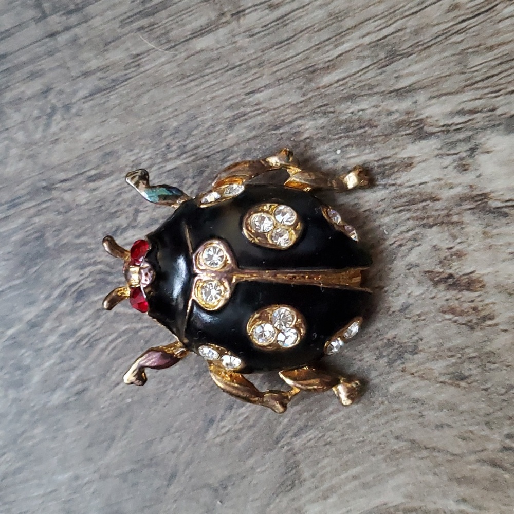 🆕 Vintage Beetle brooch
